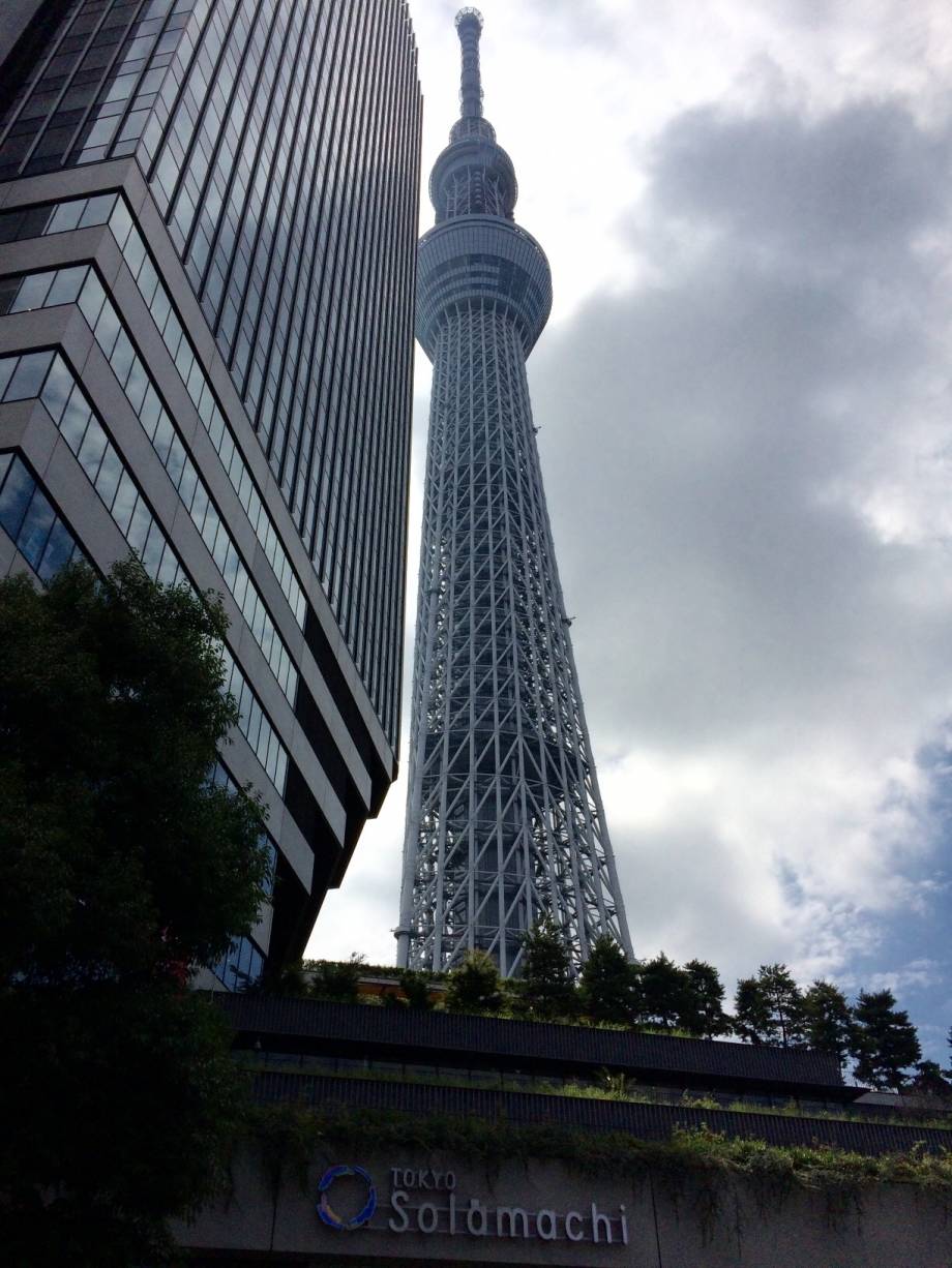 水族館デート With Lab 恋愛 With Online 講談社公式 恋も仕事もわたしらしく