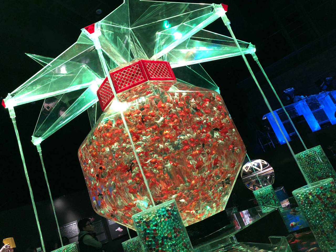 アートアクアリウム展 18 With Lab ライフスタイル With Online 講談社公式 恋も仕事もわたしらしく