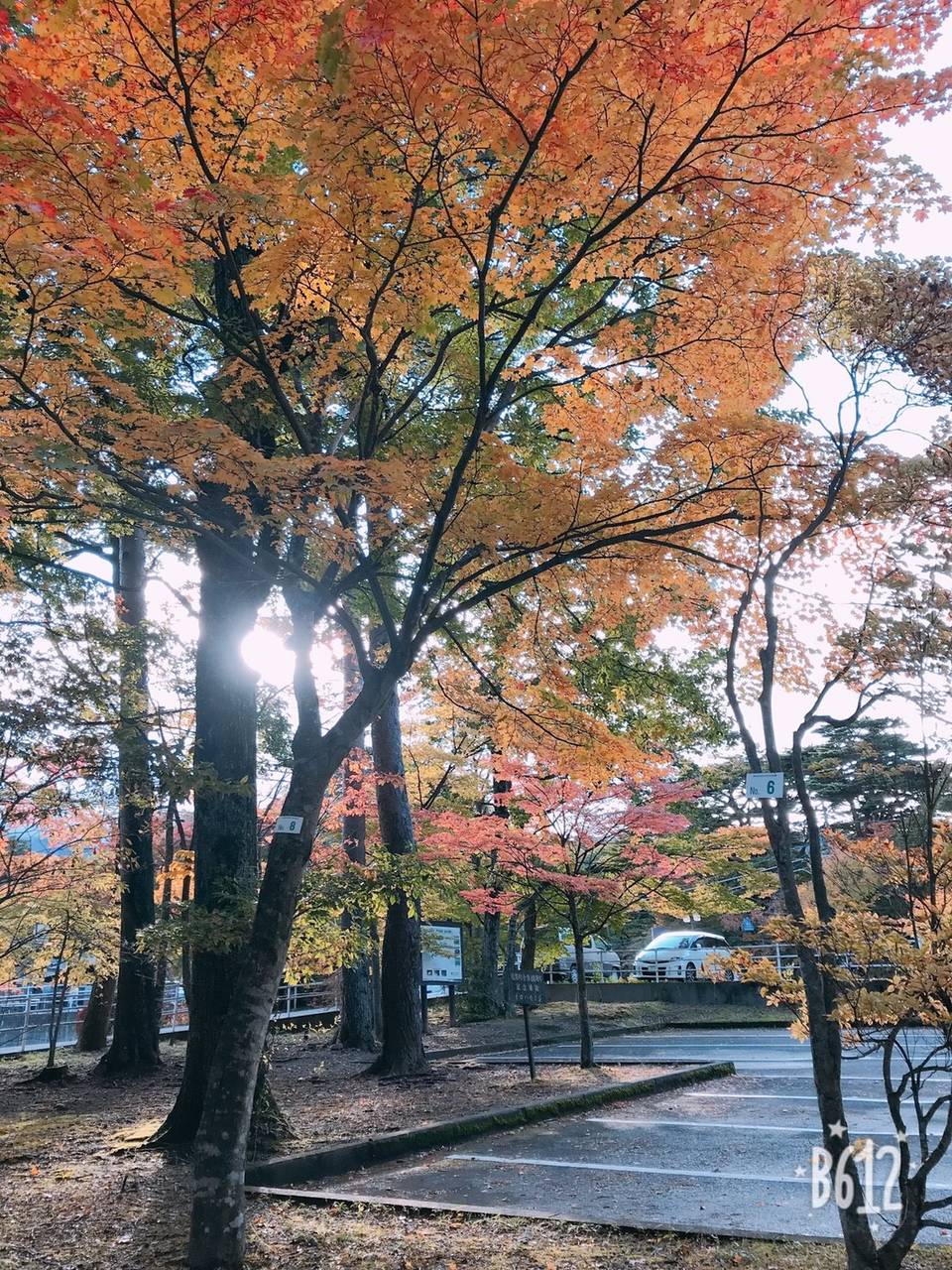 那須日帰り旅 ドライブデート With Lab ライフスタイル With Online 講談社公式 恋も仕事もわたしらしく