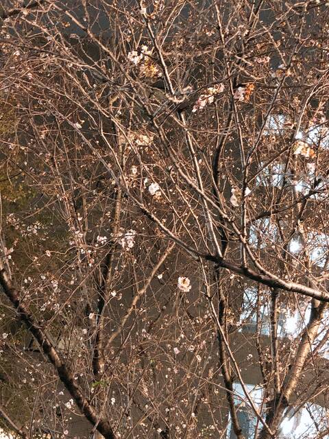 不眠 With Online 講談社公式 恋も仕事もわたしらしく