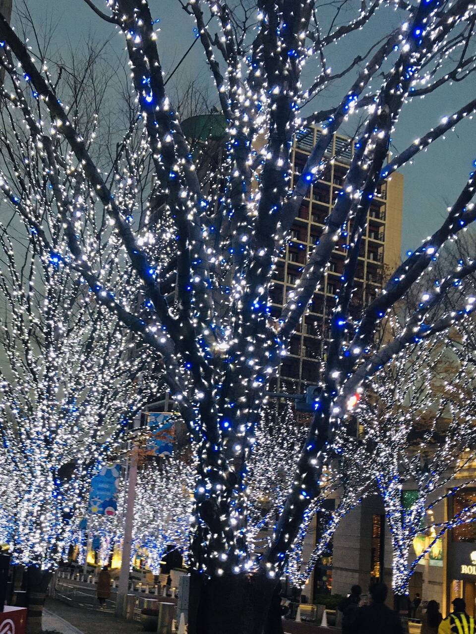 イルミネーション 画像 With Online 講談社公式 恋も仕事もわたしらしく