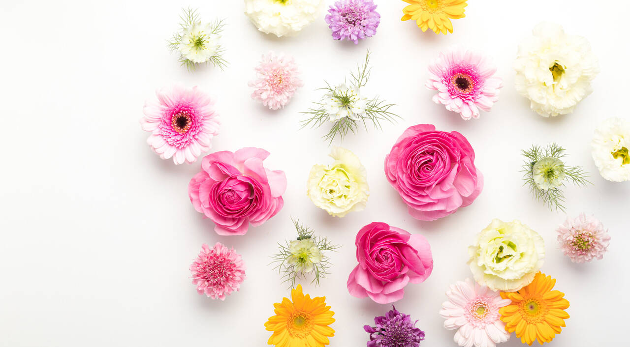 はじめまして With Online 講談社公式 恋も仕事もわたしらしく