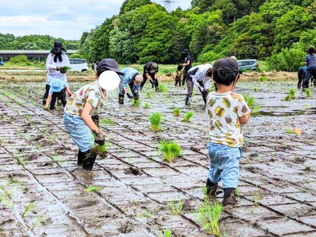 画像が削除されました