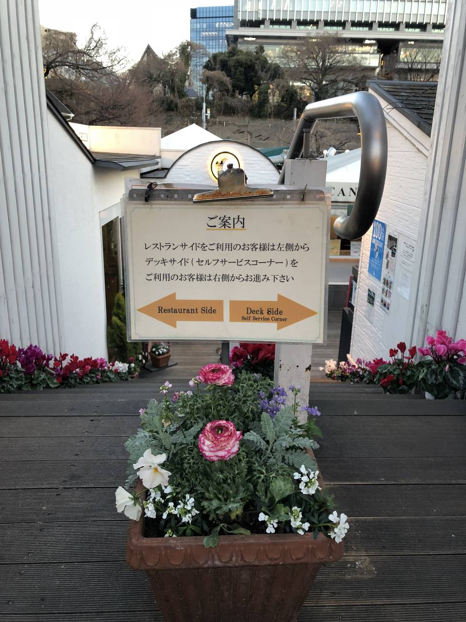 都心でリゾート気分 桜のシーズンは予約殺到の水上カフェ レストランcanal Cafe With Online 講談社公式 恋も仕事もわたしらしく