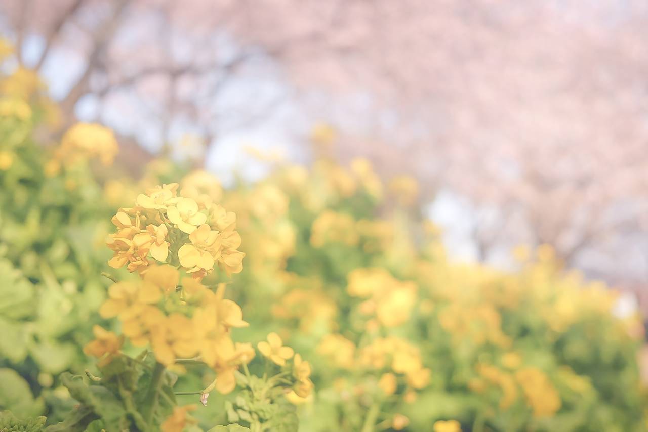 pattern_1
