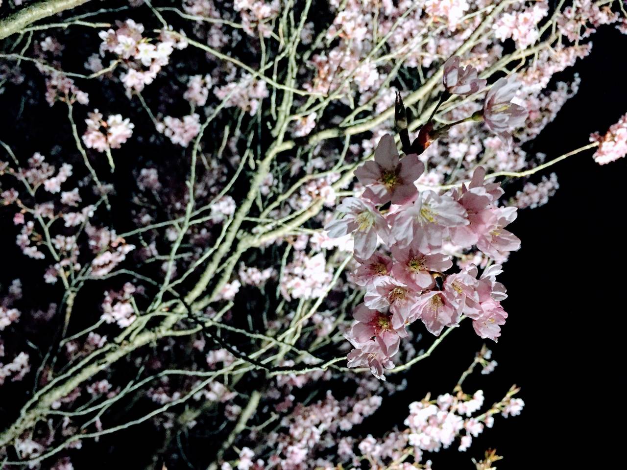 pattern_1
