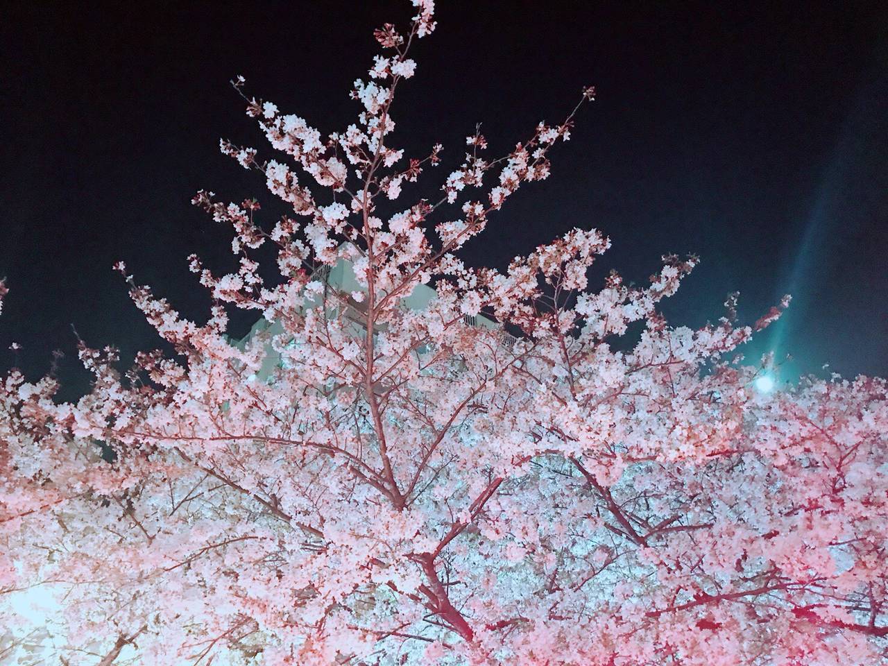 pattern_1