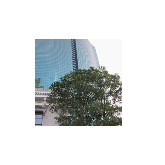 pattern_1