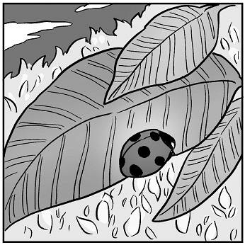 pattern_1