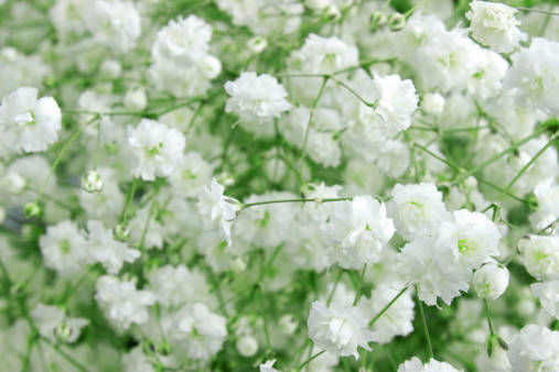 pattern_1