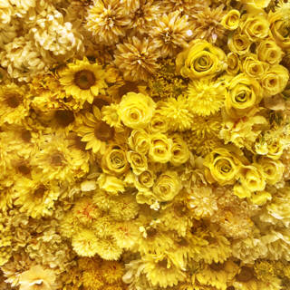pattern_1