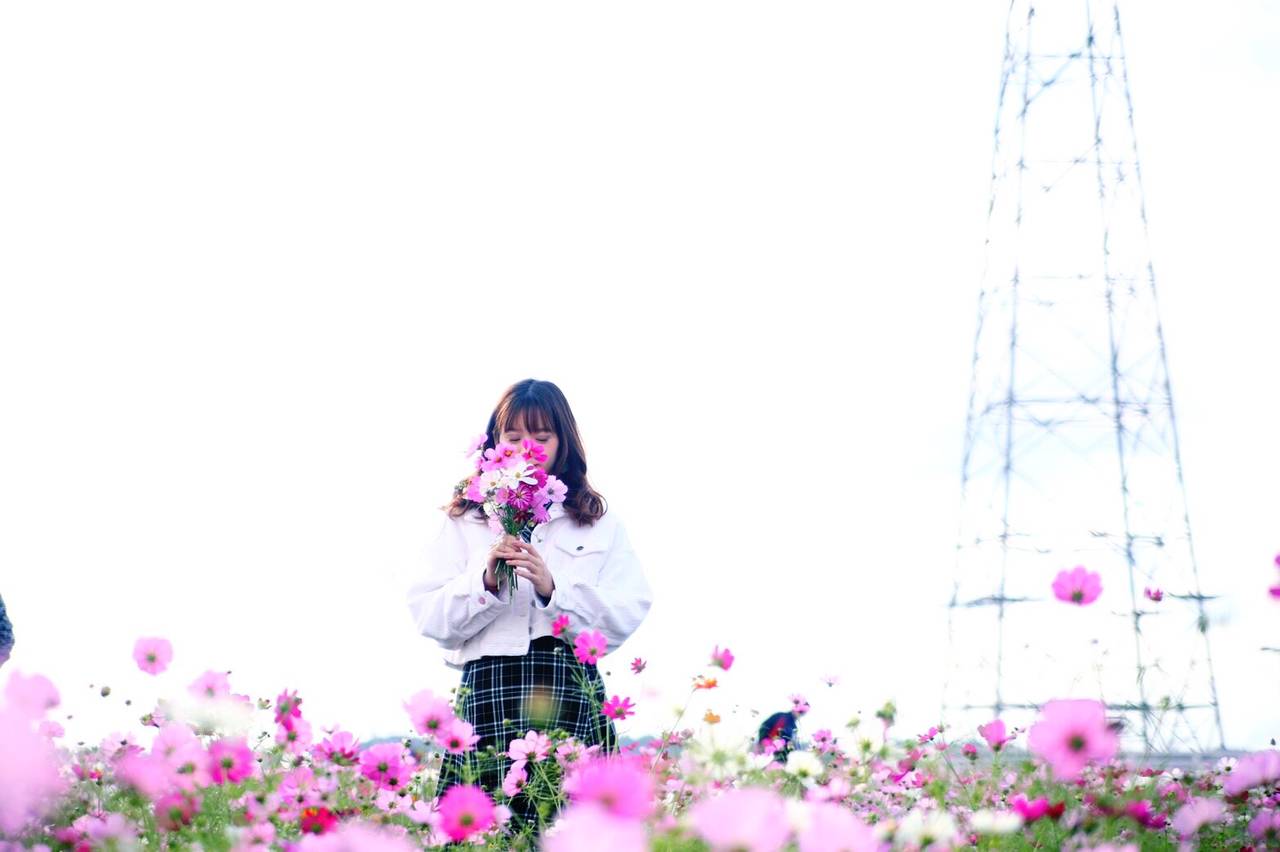 pattern_1