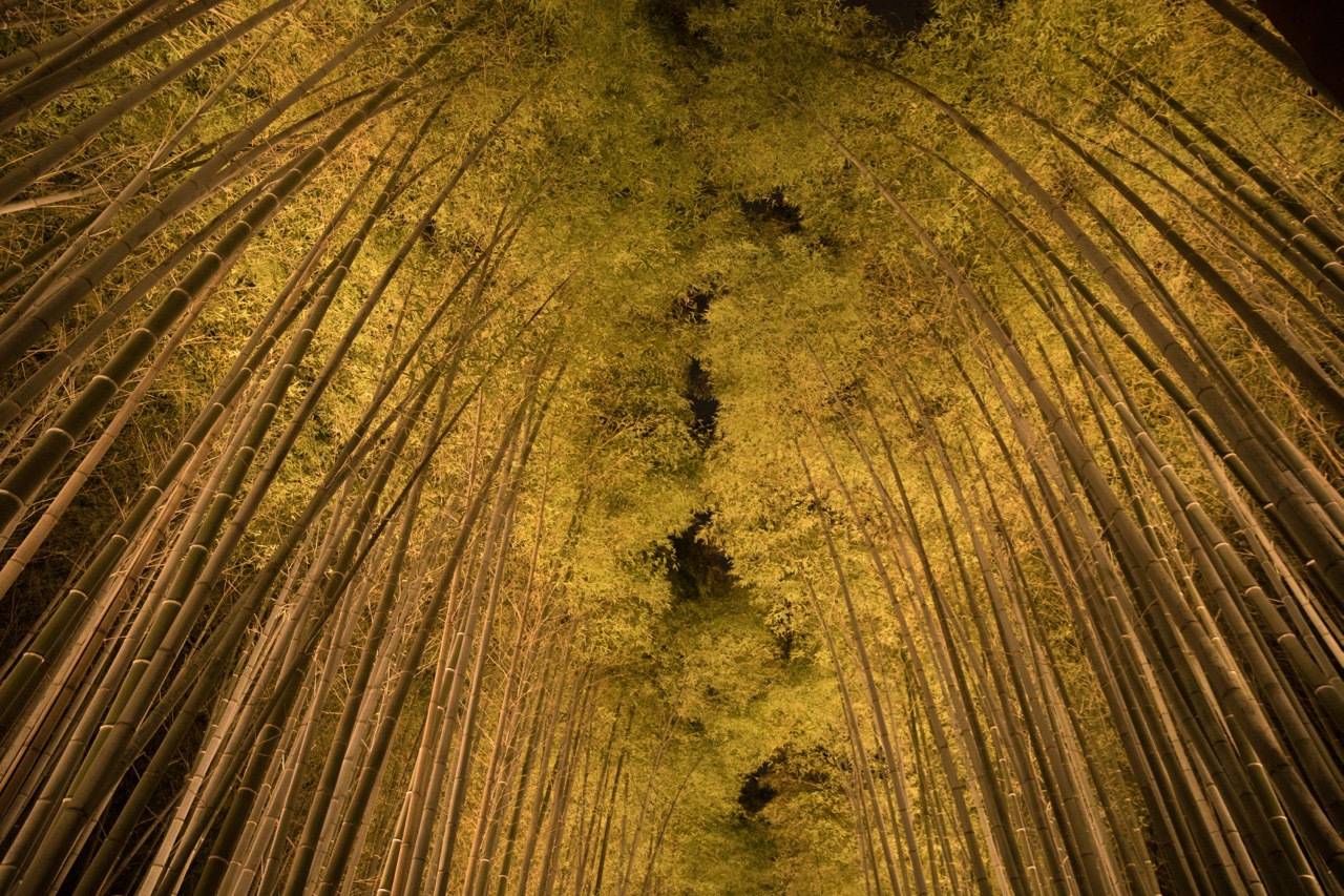 pattern_1