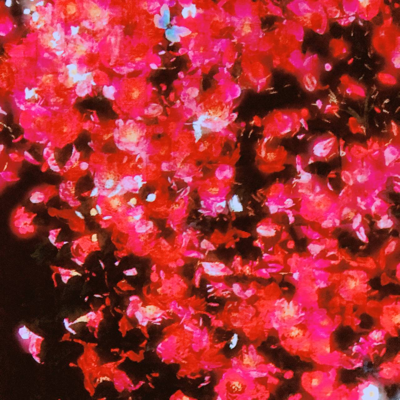 pattern_1