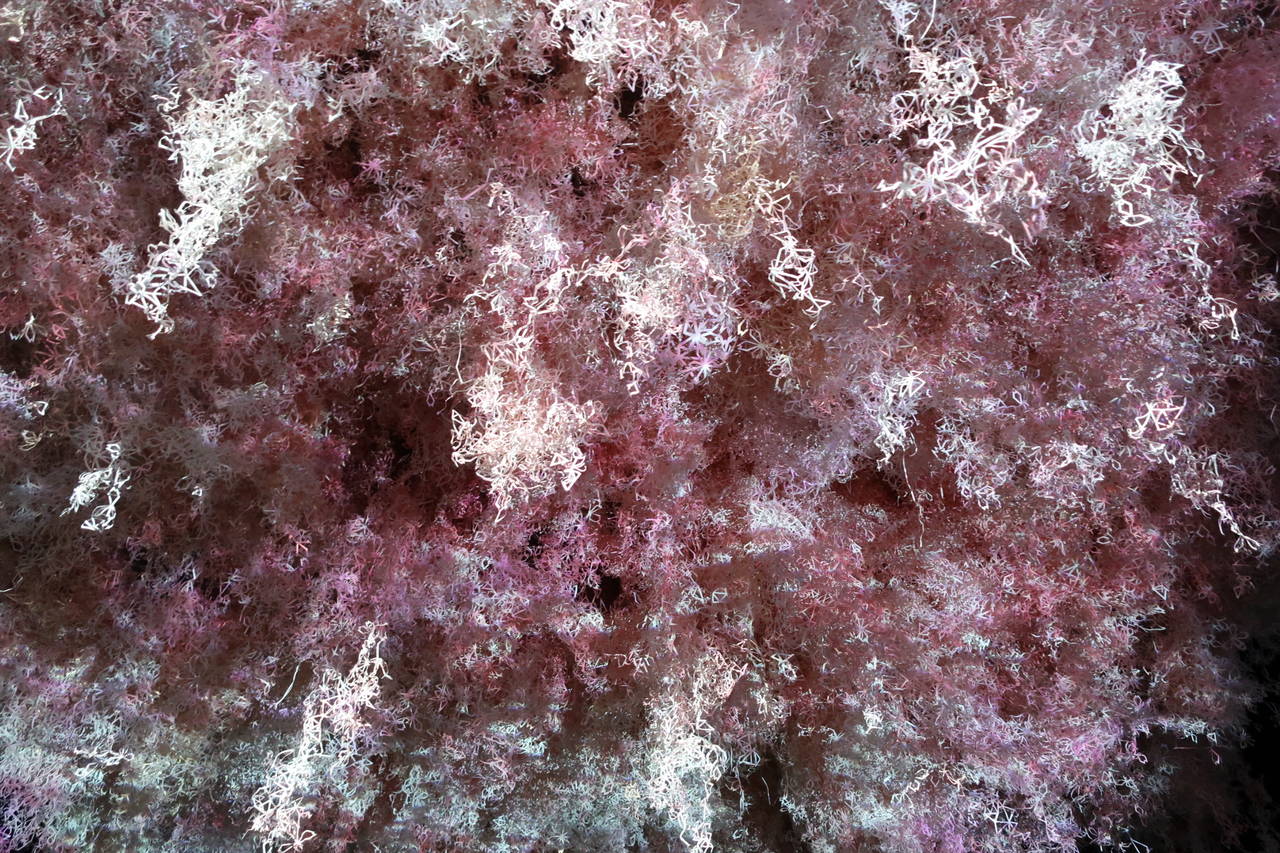 pattern_1