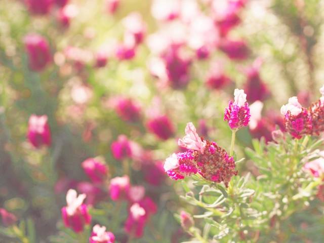 pattern_1
