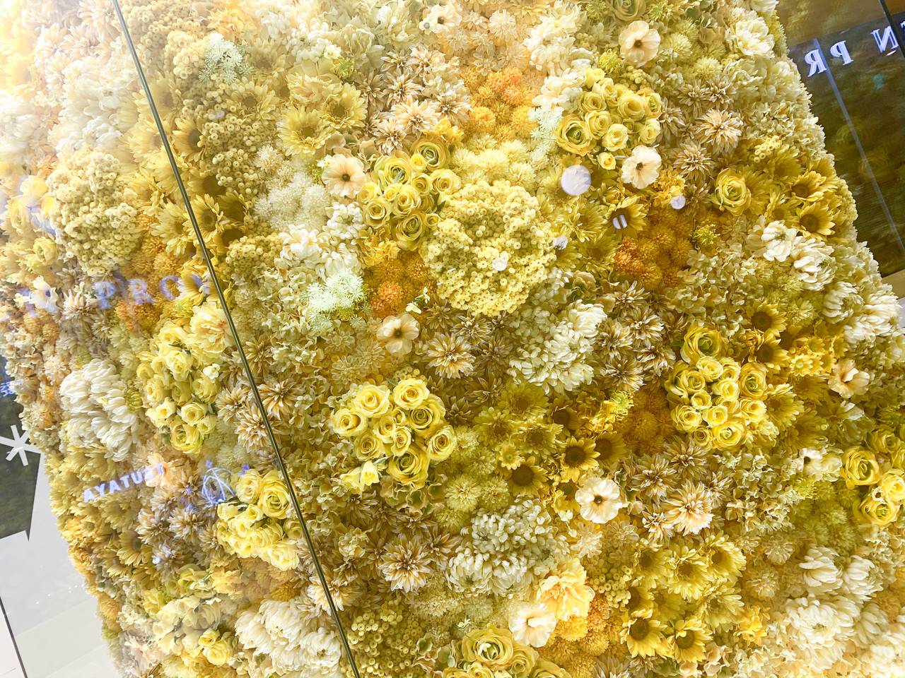 pattern_1