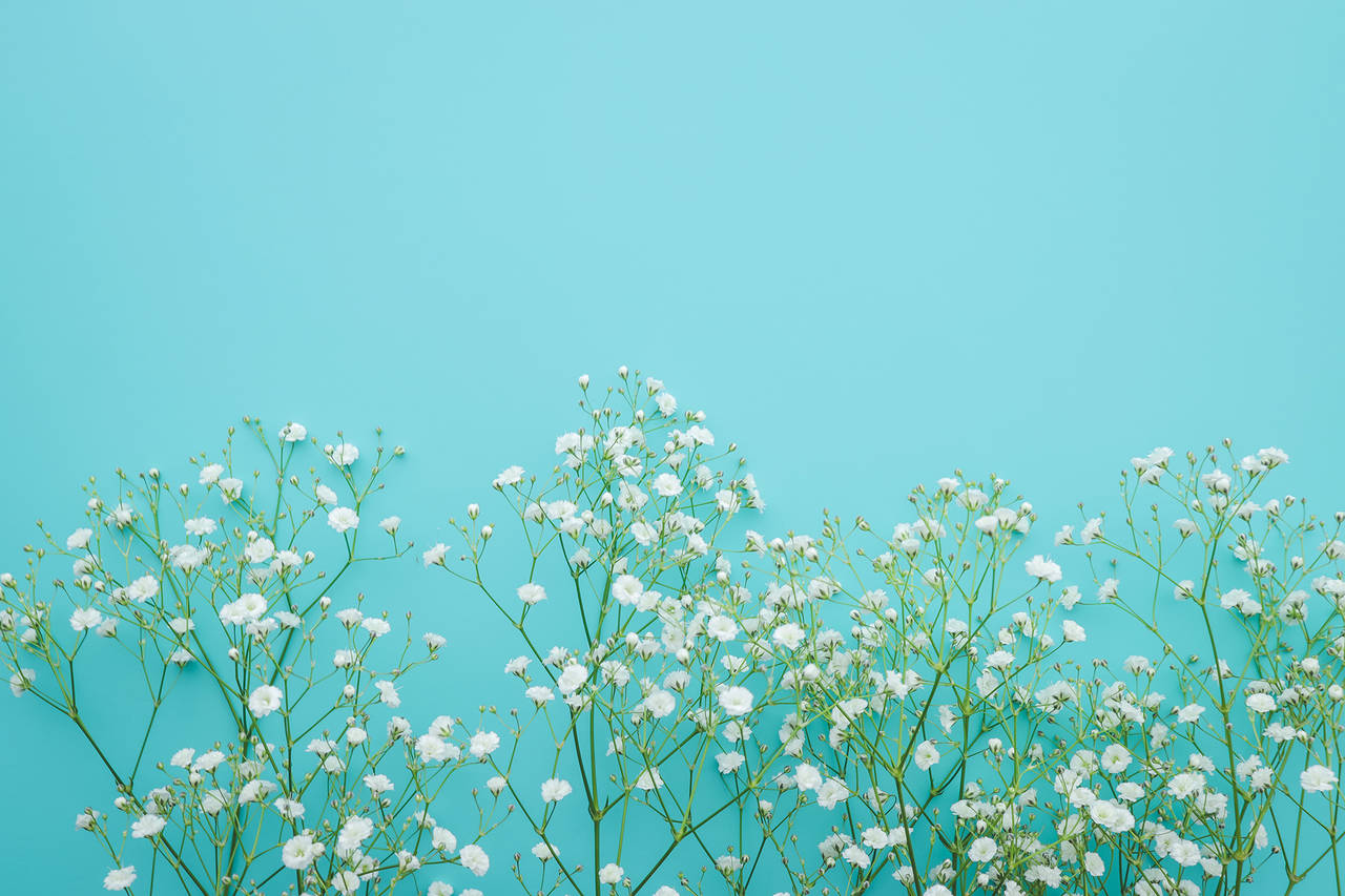 pattern_1