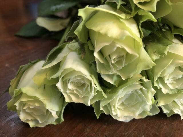 心理テスト あなたの モテ期 がいつ来るのかをチェック With Online 講談社公式 恋も仕事もわたしらしく