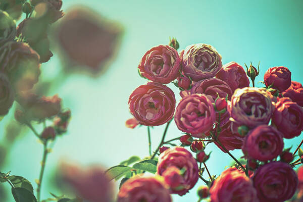 pattern_1