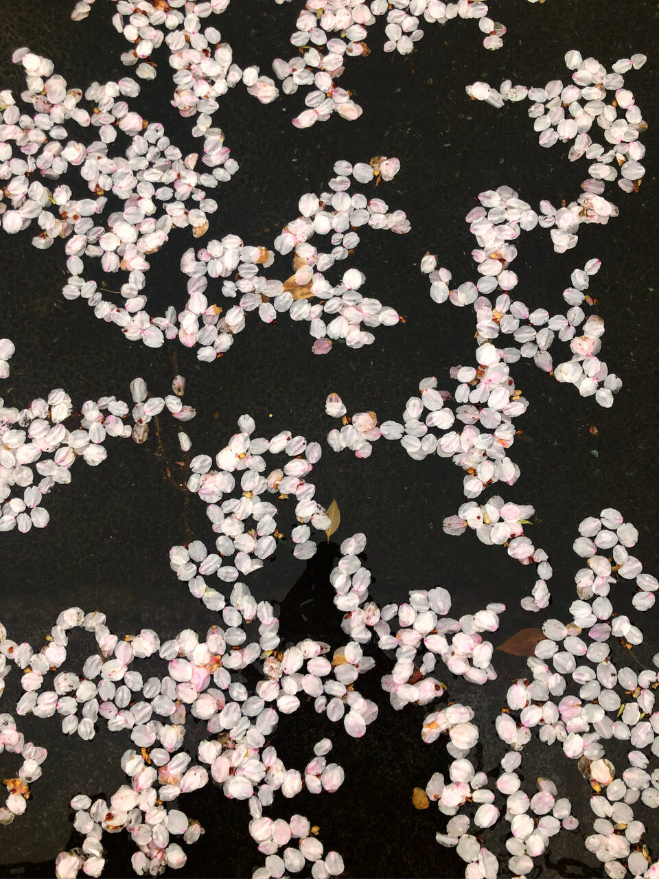 pattern_1