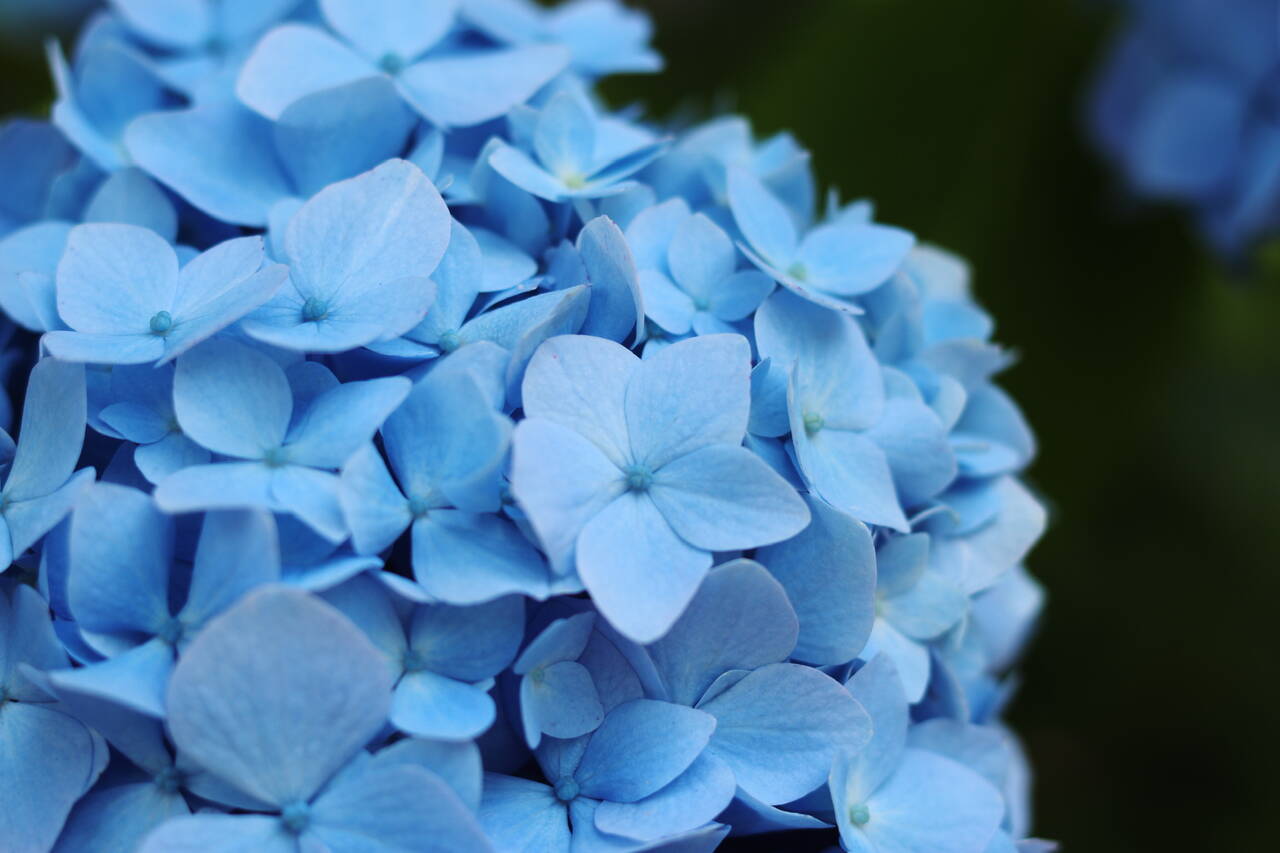 pattern_1