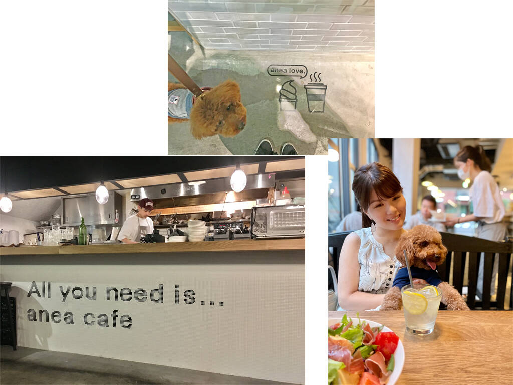 Anea Cafe白金店 撮影にもよく使われるオシャレすぎるドッグカフェで愛犬の誕生日祝い With Lab ライフスタイル With Online 講談社公式 恋も仕事もわたしらしく