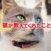 映画『猫が教えてくれたこと』 "Kedi" | 11月 シネスイッチ銀座、YEBISU GARDEN CINEMA他 全国順次公開!