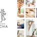 猫カフェ MOCHA(モカ)