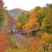 紅葉狩りもまだ間に合う!【日帰り旅】するなら都心から約1時間の「秋川渓谷」へ! | withonline - 講談社公式 -