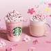 【スターバックス】2020年SAKURA シリーズがいよいよ!桜満開の華やかなビバレッジ第一弾が登場! - with online - 講談社公式 - | 恋も仕事もわたしらしく