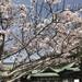 宮地嶽神社 – 宮地嶽神社(みやじだけじんじゃ)の公式ホームページです。福岡県福津市に位置する当社は、全国に鎮座する宮地嶽神社の総本宮です。