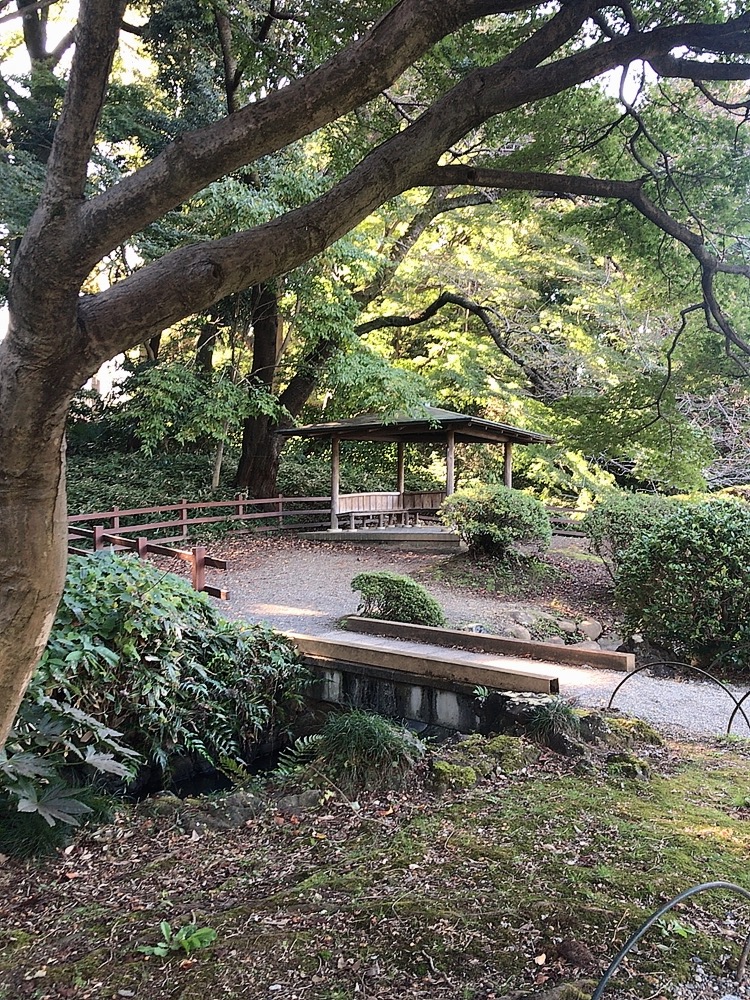 都内癒しスポット With Online 講談社公式 恋も仕事もわたしらしく