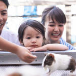赤ちゃんの動物園デビュー!一緒にお出かけできる時期や注意点