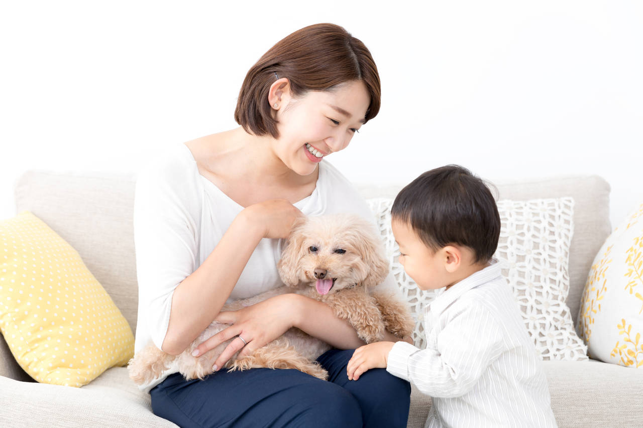 ペットとの暮らしは子どもにもプラスになる?子育てとペットの飼育