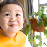 幼児食に適した食材を知ろう!幼児食の機能や注意したい食材も紹介