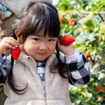 3歳児と一緒にお出かけをしよう！子連れで楽しめるスポットをご紹介