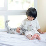 子育てしながら猫が飼いたい。夫婦で協力してお世話をするコツ
