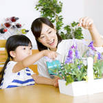 子どもと花を育てるメリットを知る。栽培キットやおすすめの花を紹介