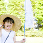 子どもと楽しく昆虫採集!場所や採集方法、 飼育の仕方をご紹介