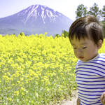 知っておきたい北海道での子育て。生活事情と育児支援制度