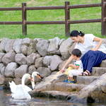大分で子育て!育児満足度日本一を目指す県の魅力的な取り組みを紹介