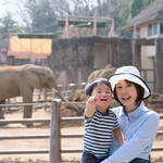 夏休みは子どもと動物園へ行こう!地域別動物園、お出かけのポイント