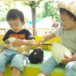 【東京・葛西】入園無料で動物とふれあえる「江戸川区自然動物園」
