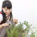 ガーデニング初心者でも大丈夫！素敵な庭の紹介、コツ、おすすめ植物