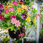 ガーデニングで花を育てよう!楽しみ方や初心者向けの花を紹介