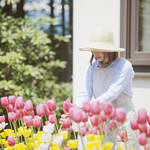 ガーデニングで草花を植えよう!季節別おすすめ草花、お手入れ方法