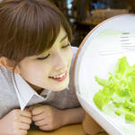 水耕栽培キットで家庭菜園を作ろう！選び方や楽しむコツ、製品の紹介