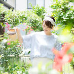 ガーデニングを始めよう!簡単にできるやり方と育てやすい植物