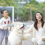 子どもと一緒に犬の散歩に行こう!メリットと注意点を紹介